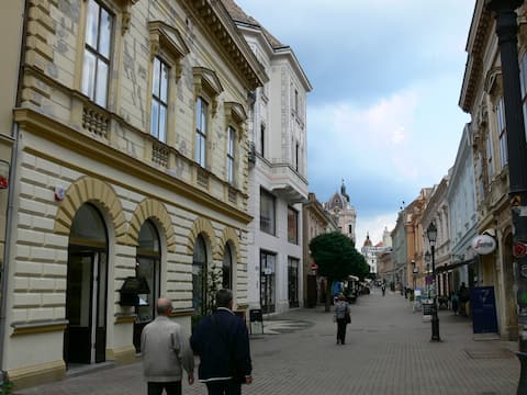 Sunny City Center Apartman