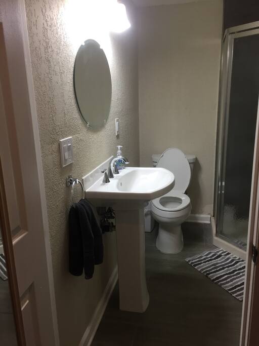 Fresh towels, hand soap, shampoo, and conditioner.