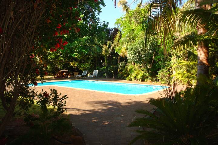 Tall Tree Family Home with Large Pool gallery image 3