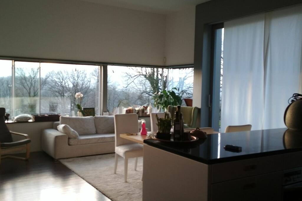 Wohnzimmer mit offener Küche