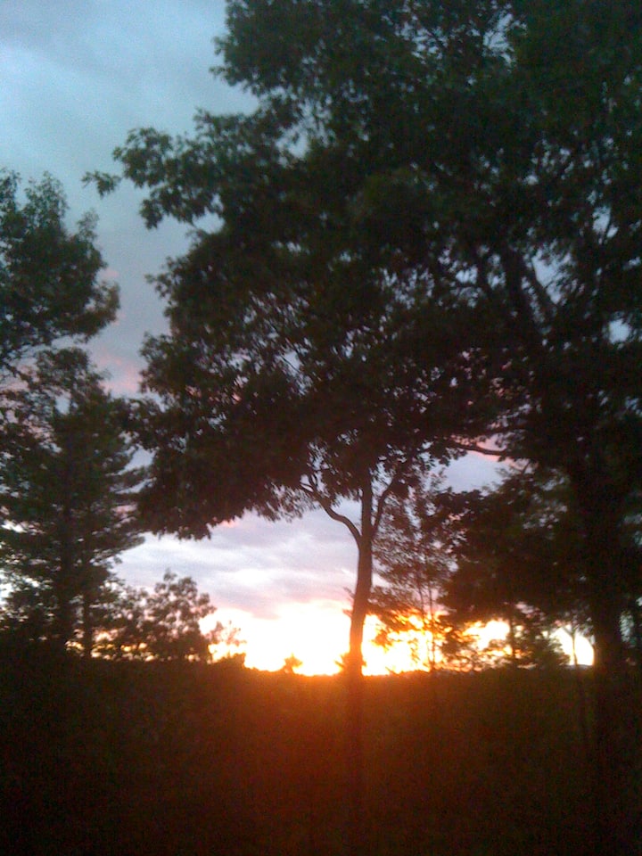 Private Hilltop Cabin, Lakes and Trails Abound.. Cabins for Rent in