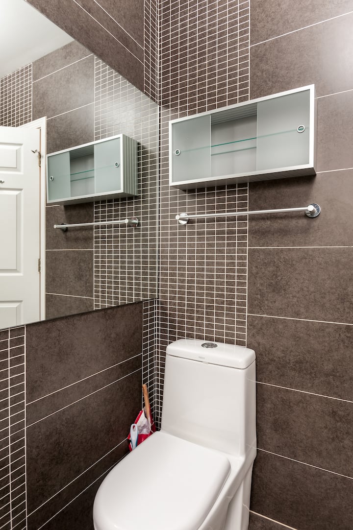 Luxury 2BD/2BH in Historic CWE/2W Apartments for Rent in St Louis