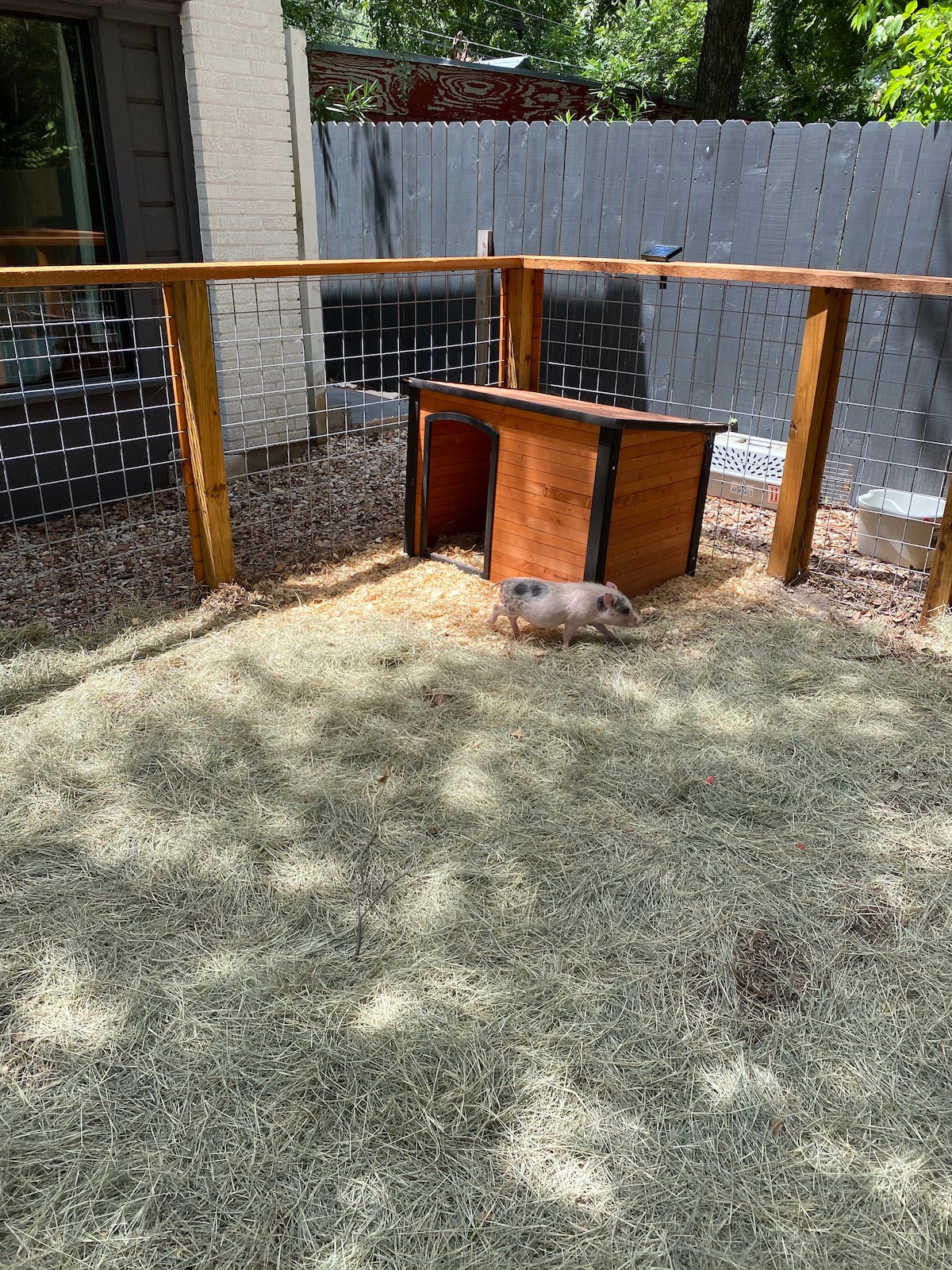 Pig Parlour