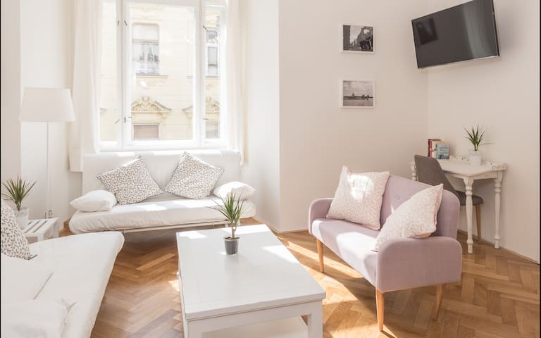 NEW STYLISH LARGE apartment in the Old Town center