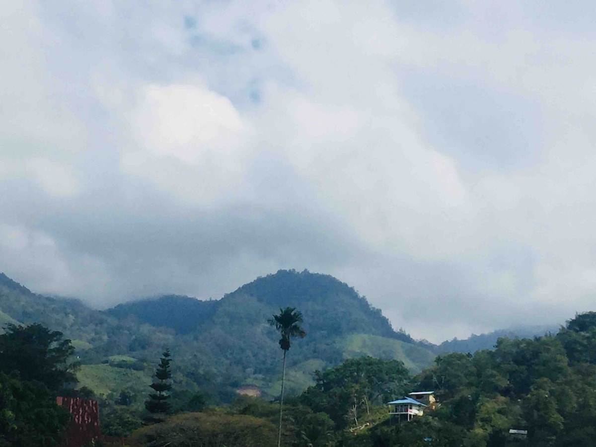 The image captures a lush landscape of rolling mountains shrouded in light clouds. A single palm tree stands prominently in the foreground, while a distant building is nestled among the greenery, contributing to the serene natural scenery.