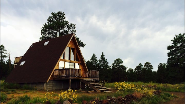A-frame mountain view cabin in the forest