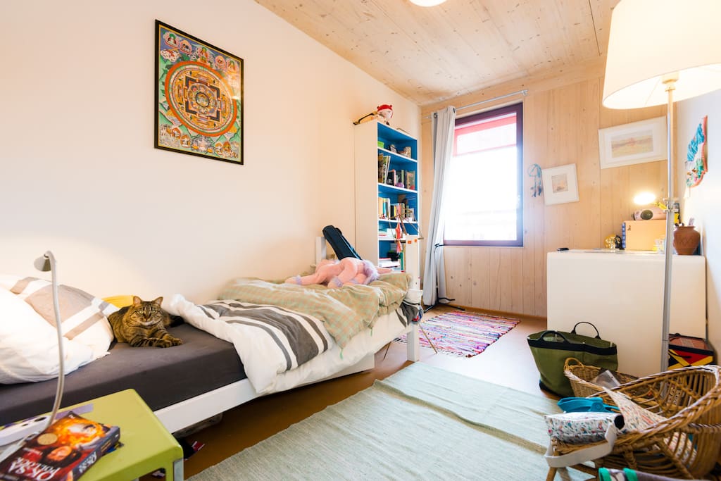 Appartement A Louer Confignon Appartement A Louer Confignon