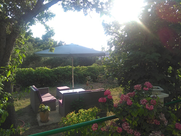 No 1 App With A View - Lopar