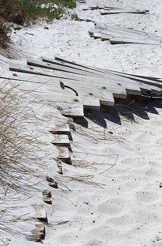 Idyllic beach house in Kommetjie. gallery image 2