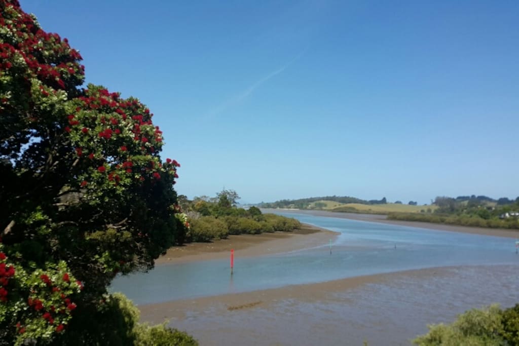 Low tide- when two rivers (Waipapa and Kerikeri Rivers) meet the ocean