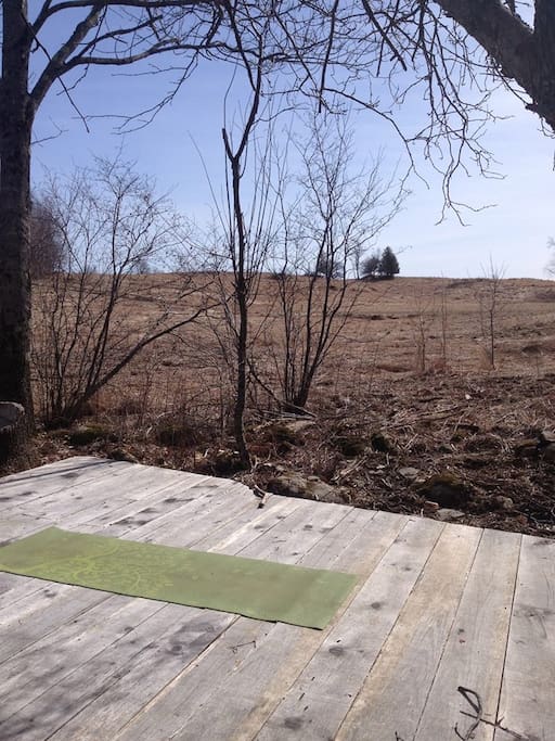 tent platform under the apple tree