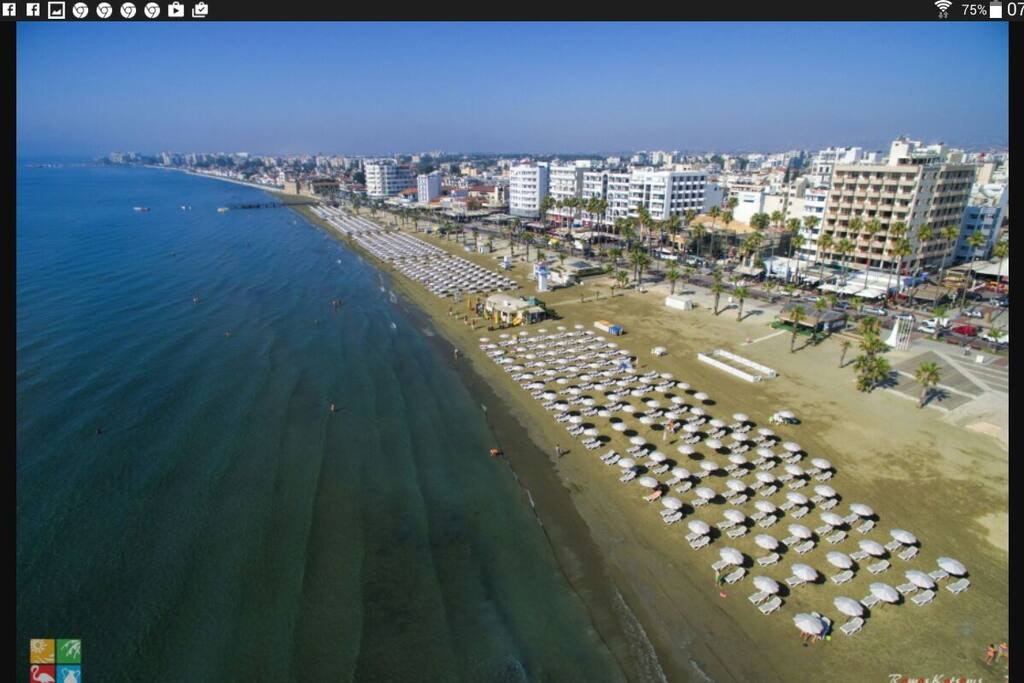 Finikoudes beach and center of the town