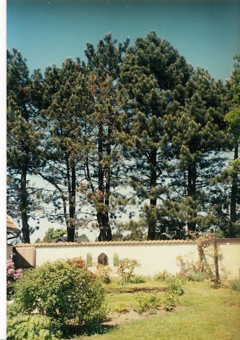 Trees have grown high in this place that was originally built in the 1960’s…