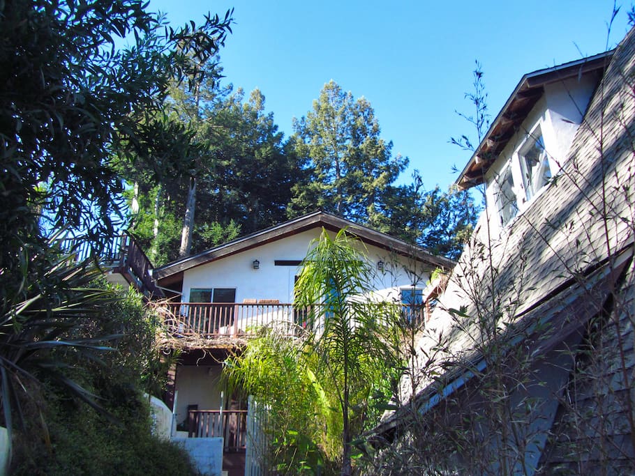 House #1 and House #2