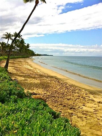 Oceanfront Puamana Townhouse gallery image 3