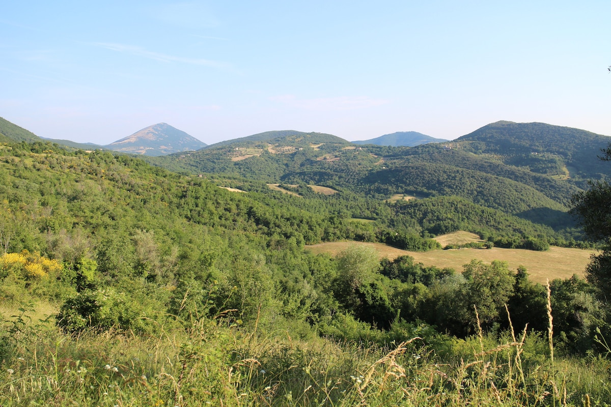 View across the fields