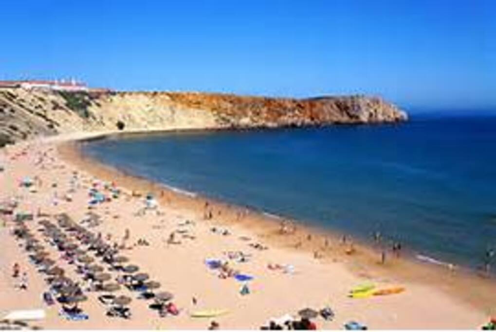 Local Beach