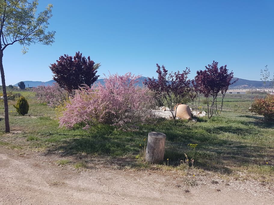 Jardín
