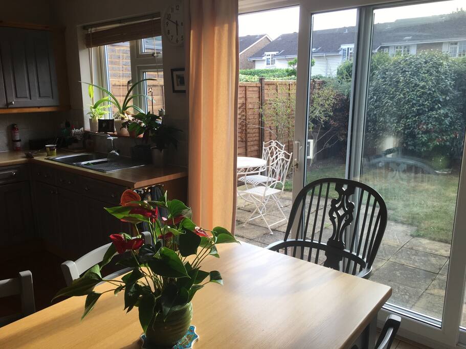 View to back garden.