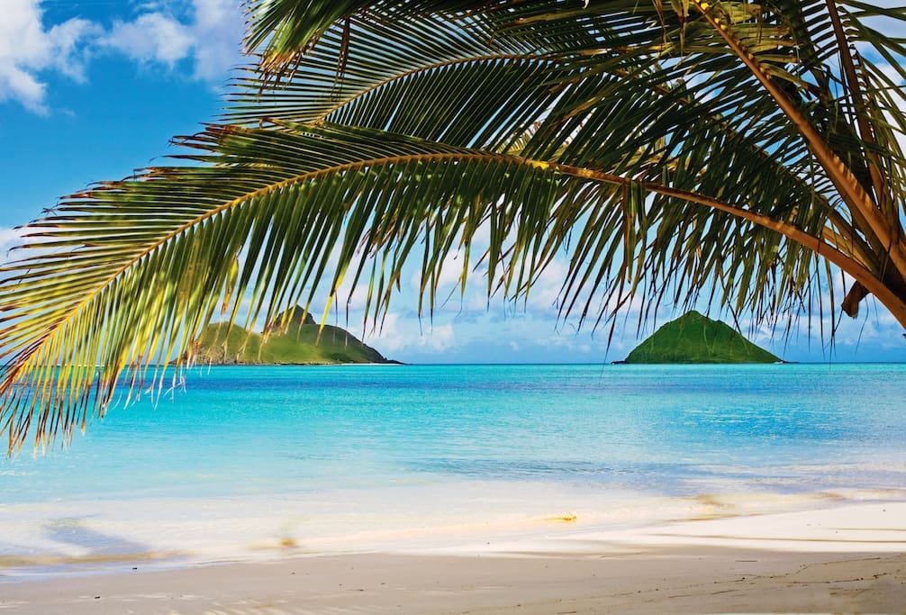 Famous Lanikai beach is a short 5 minute drive away!
