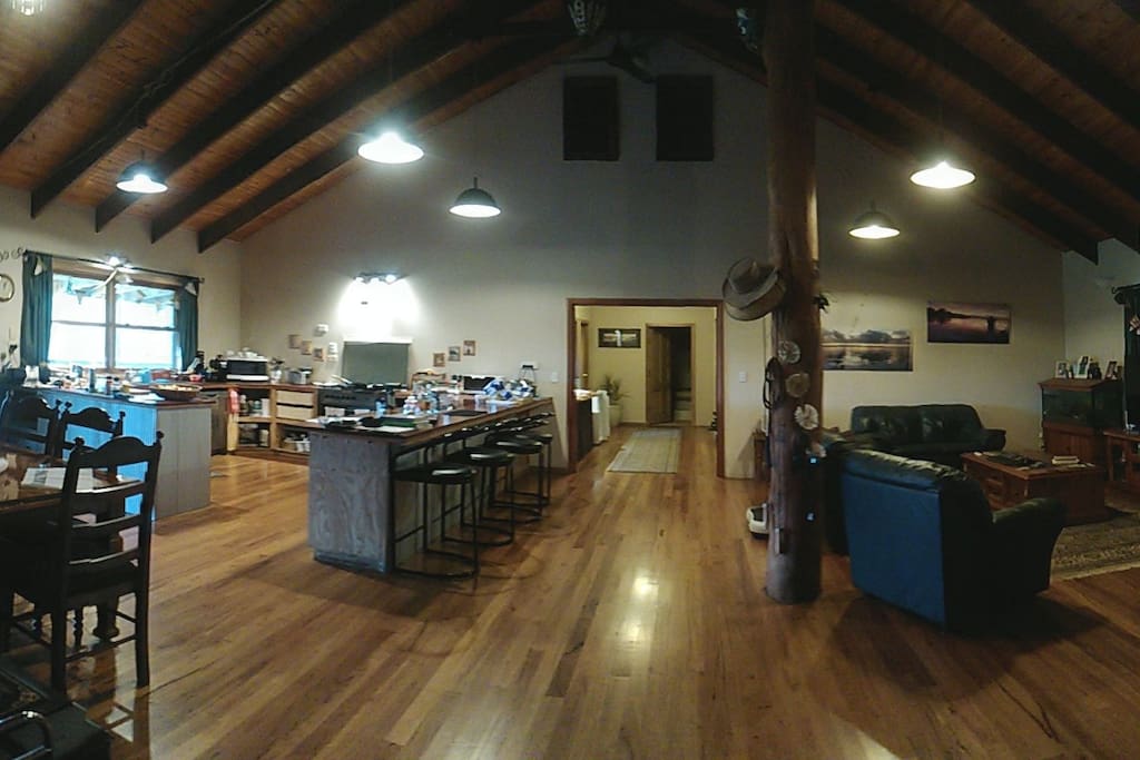 Kitchen, dining, lounge room.