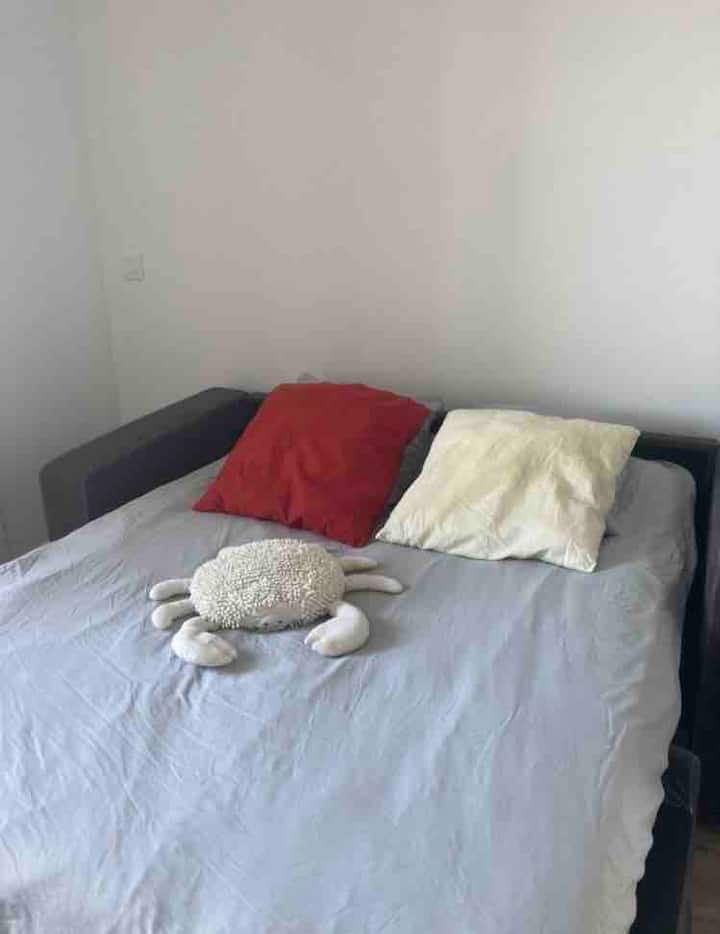 Sofa bed convertible into a double bed 