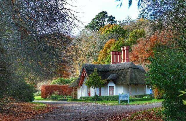 A charming cottage with a thatched roof is surrounded by autumn foliage. Two prominent chimneys rise from the roof, and a gravel path leads to the welcoming entrance. Greenery frames the property, enhancing its serene rural setting.