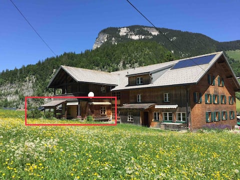 Apartment with terrace, dream location in 6883 Au