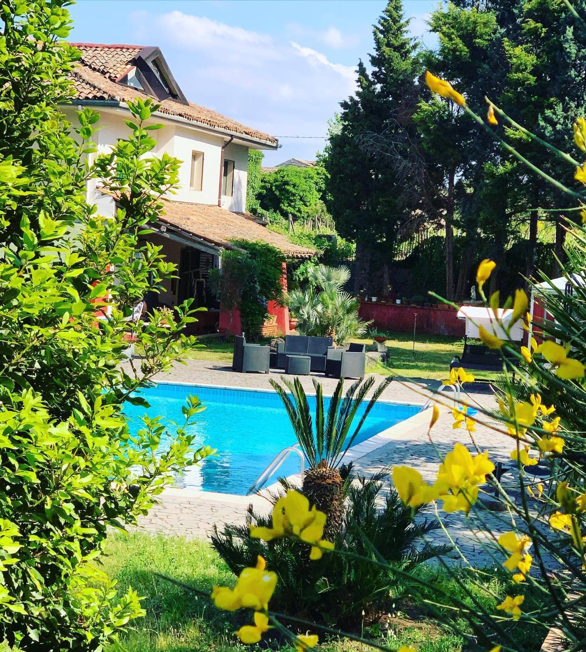 Villa Alessio - Etna Historic Winery Villa - Ancient Palmento with pool