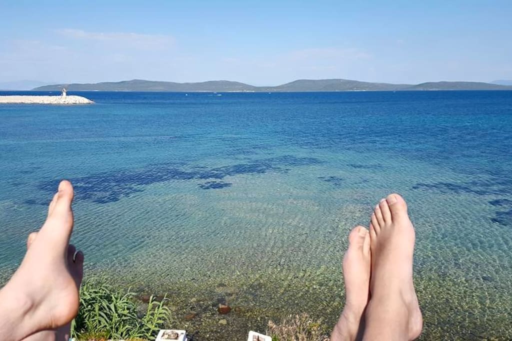 Ön bahçe