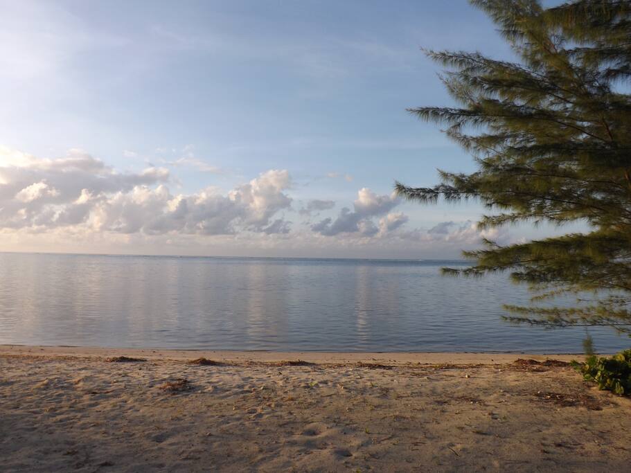Room For Rent Cayman Islands Room For Rent Cayman Islands