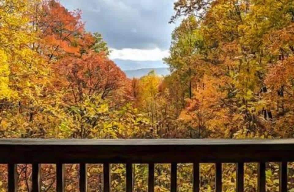A wooden railing frames the view of a vibrant autumn landscape, showcasing trees with golden and red foliage. The backdrop features a distant mountain, partially obscured by soft clouds, creating a serene natural setting.