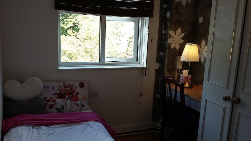 A Single Room in a Beautiful House
