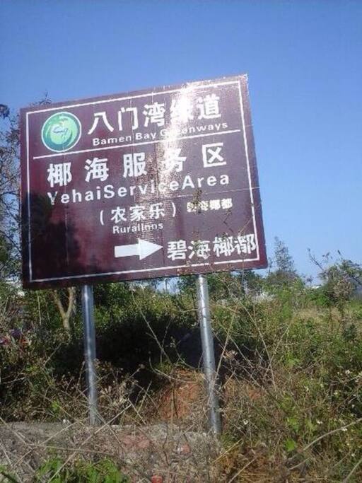 经过这条椰林、红树林中的绿道,就到了!