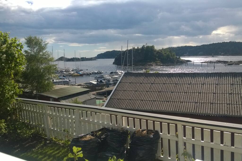 Utsikt fra hagen