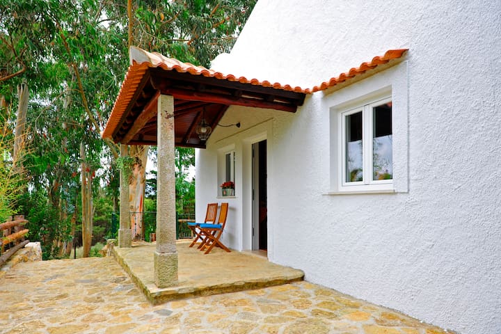 Cot in the woods - Top Accommodation organic farm