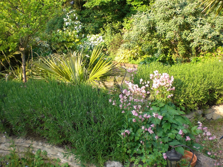Beautiful garden for a picnic
