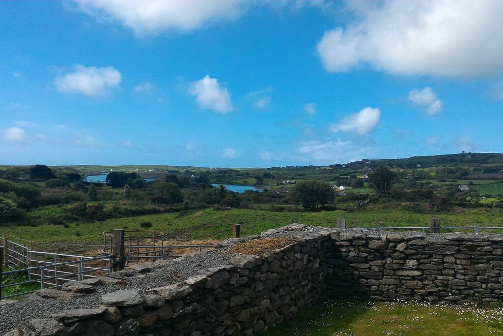 View from the garden