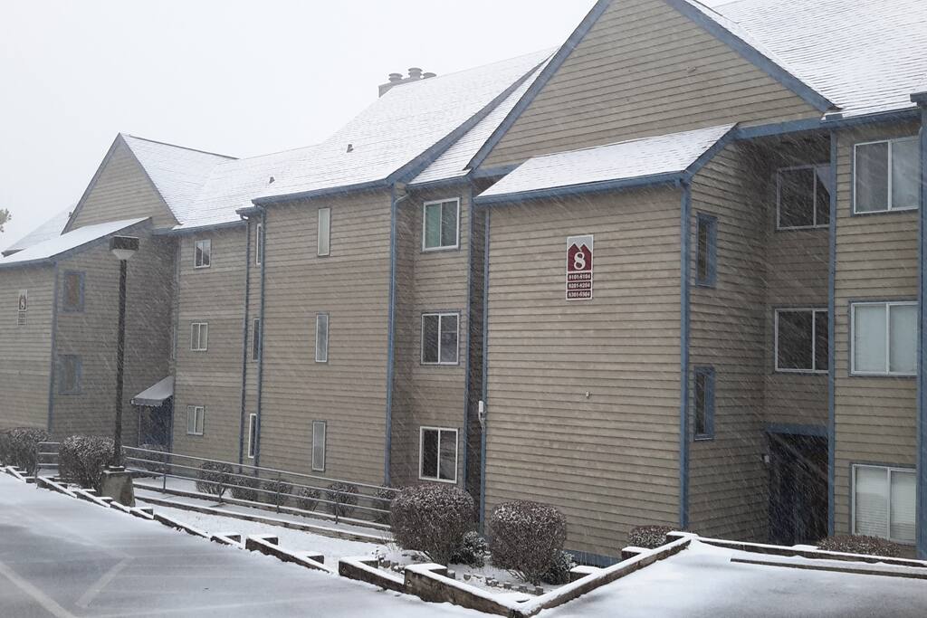 Our building this winter.