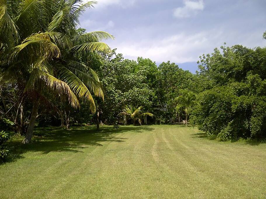 your Peace and Relax
Nature