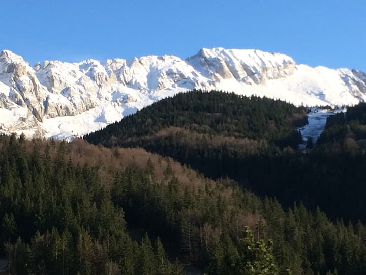 Grand Studio Avec Terrasse - Villard-de-Lans