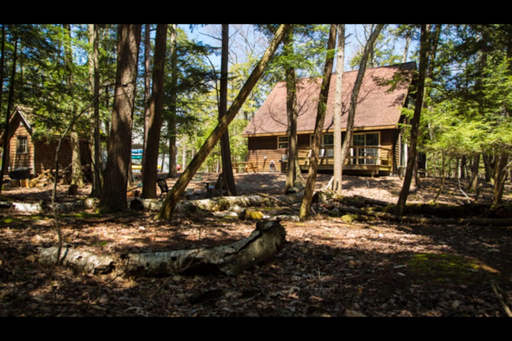View from wooded yard.