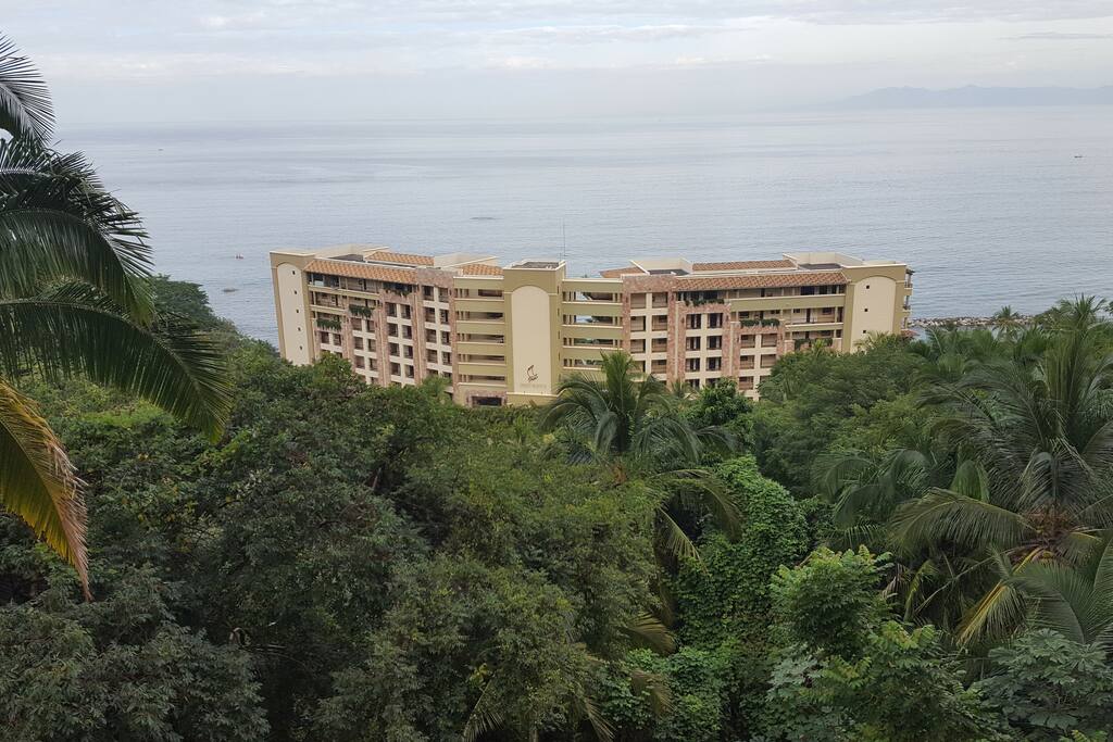 View from the room