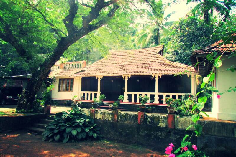 The colonial-style cottage features a traditional tiled roof and a wide veranda adorned with potted plants. Surrounding greenery includes tall trees and lush foliage, contributing to a serene environment. A stone pathway leads to the entrance, enhancing the connection to nature.