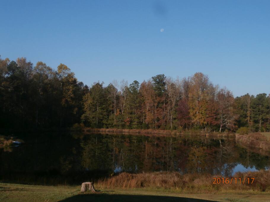 Autumn view!