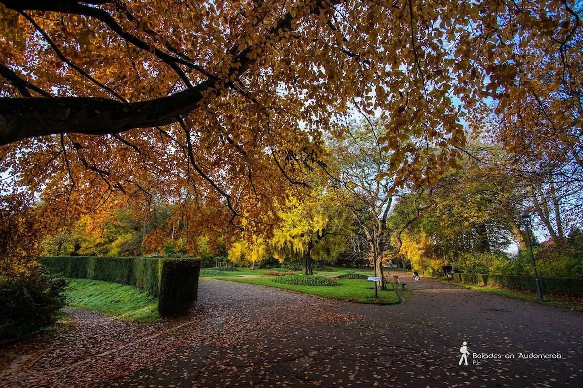 A park is captured in autumn, featuring trees with vibrant orange and yellow leaves. A pathway curves through the landscape, bordered by neatly trimmed hedges and grassy areas. Sunlight filters through the branches, creating a warm ambiance throughout the tranquil setting.