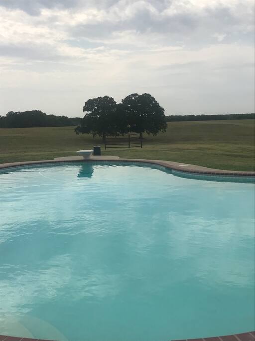 Take a dip in the large diving pool overlooking the rolling countryside!