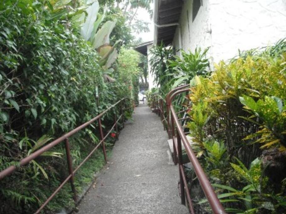 Surrounded by the verdant jungle
