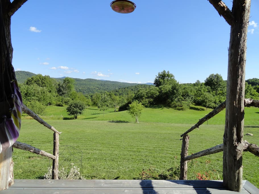 View from porch