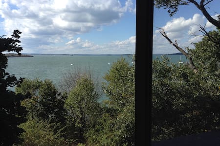 Seagulls & Sunsets.  Click picture.